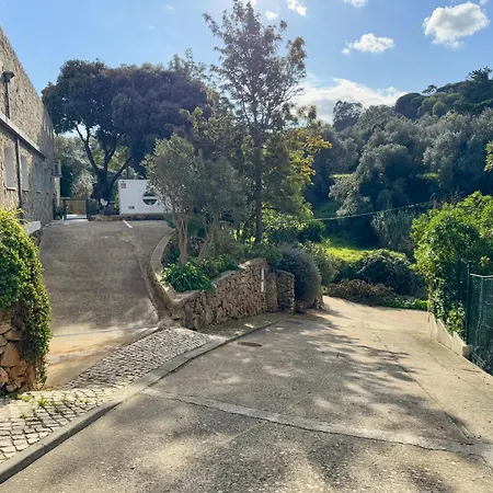 Casa Star