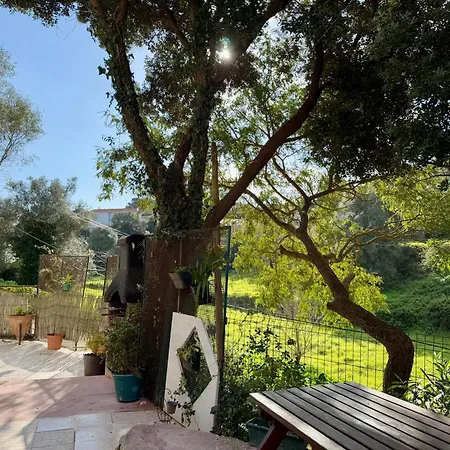 Appartement Casa Star Ericeira
